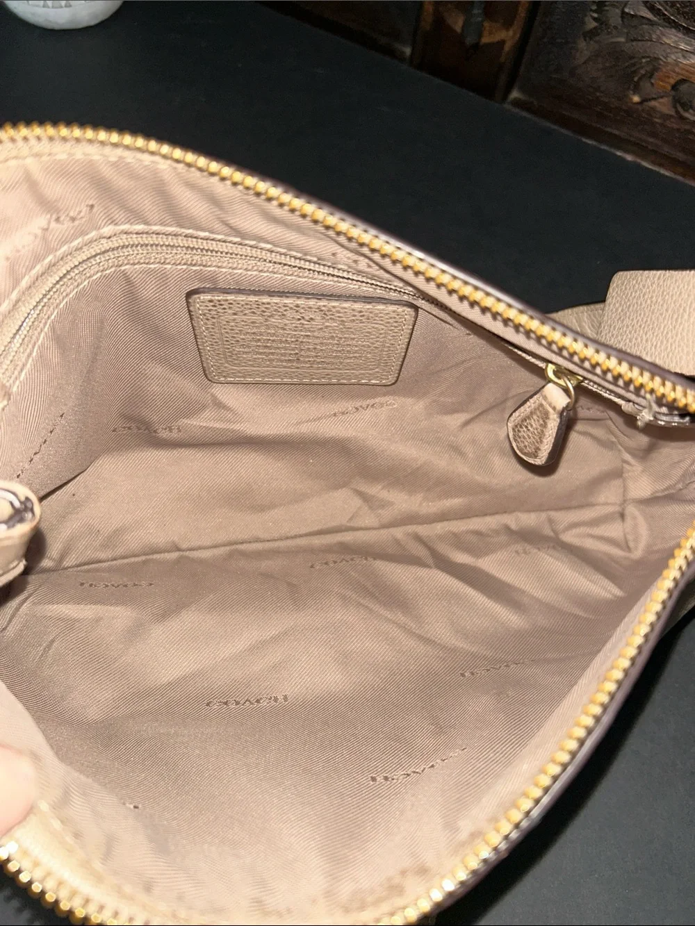 Coach Leather Crossbody Bag in Taupe with Embossed Carriage